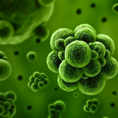 Elimina Tóxinas con Vacuumterapia de Glúteos
