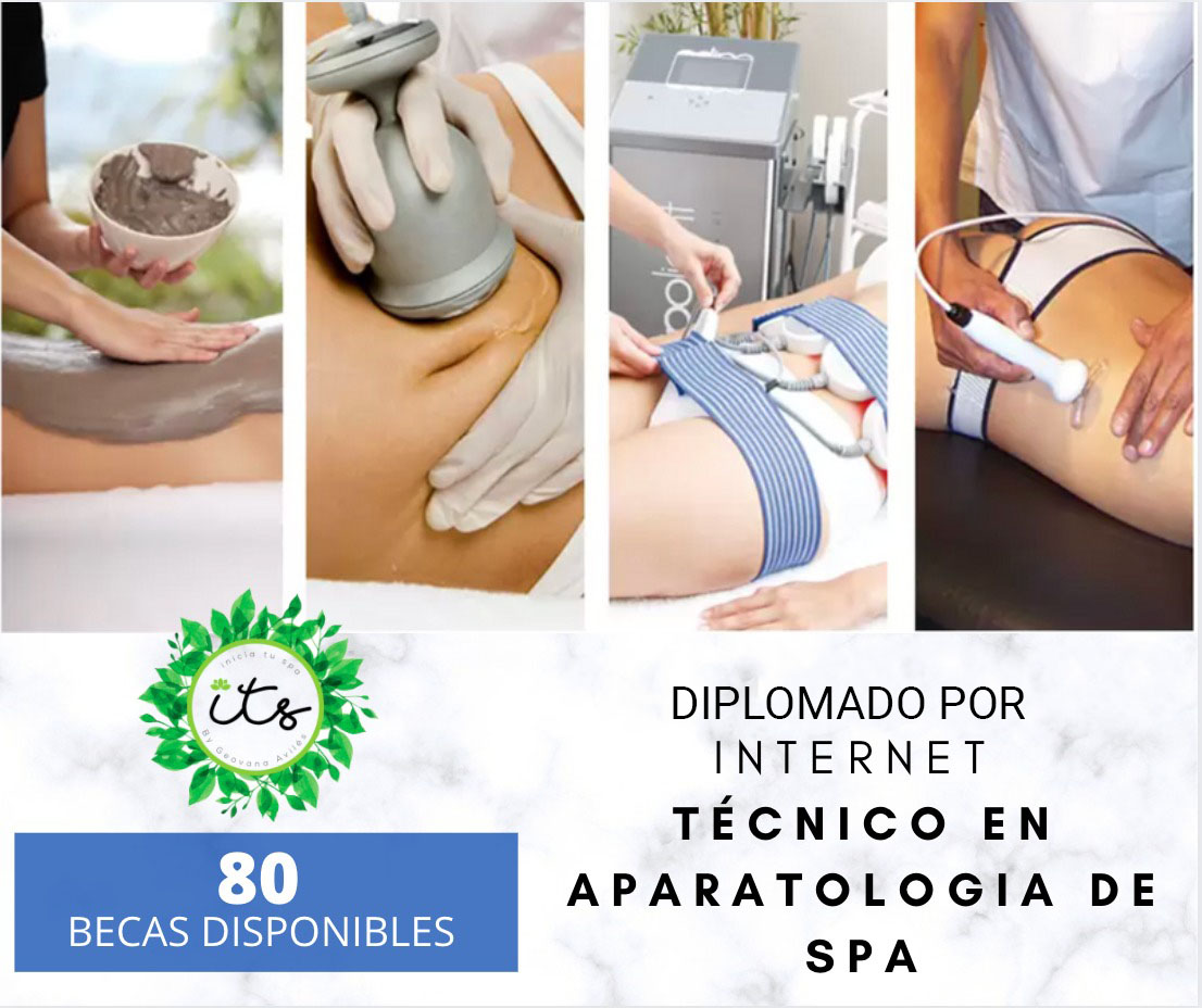 diplomado its 5