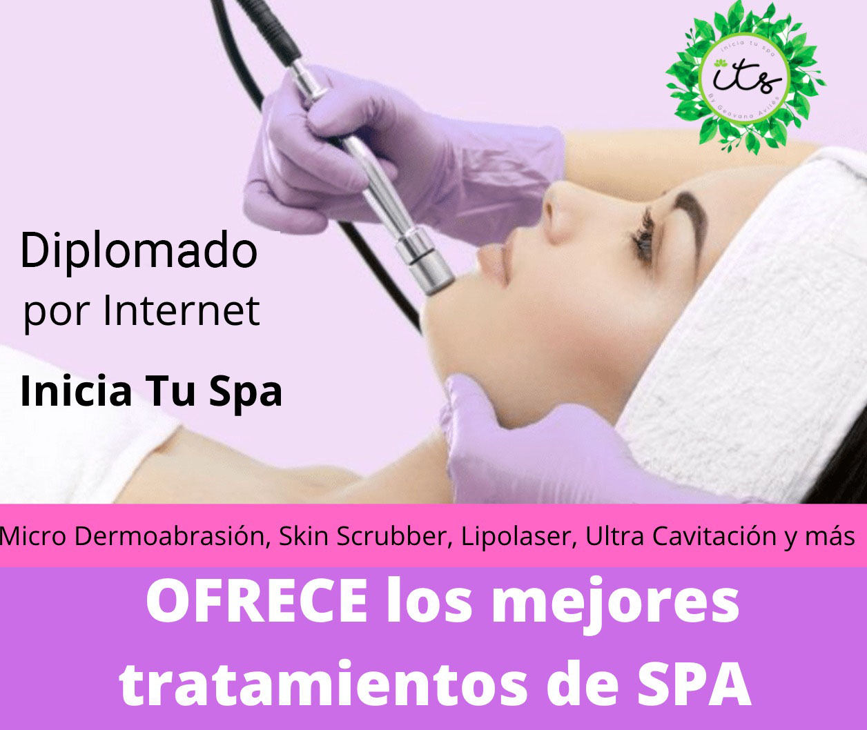 diplomado its 9